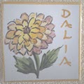 SUITE - DALIA