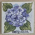ORTENSIA